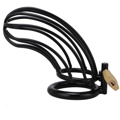 Metal Temptation 不銹鋼男用貞操鎖 (直徑50mm/黑色)