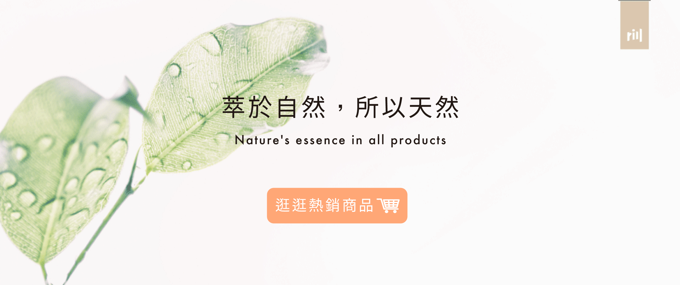 rill-川-天然洗髮精-保養品-ptt-dcard推薦-控油-保濕