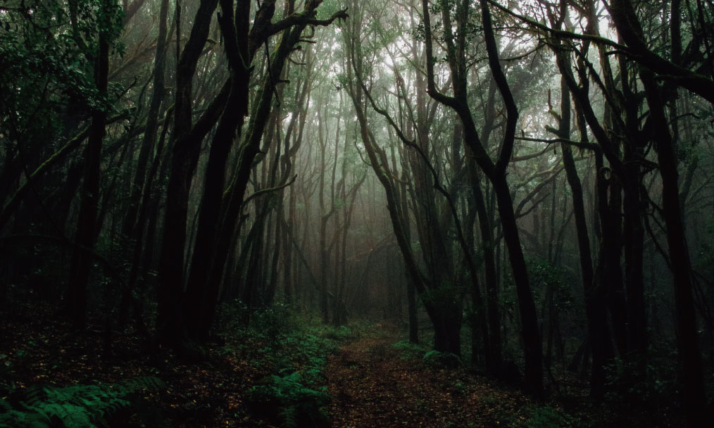 cire trudon 蠟燭, cire trudon