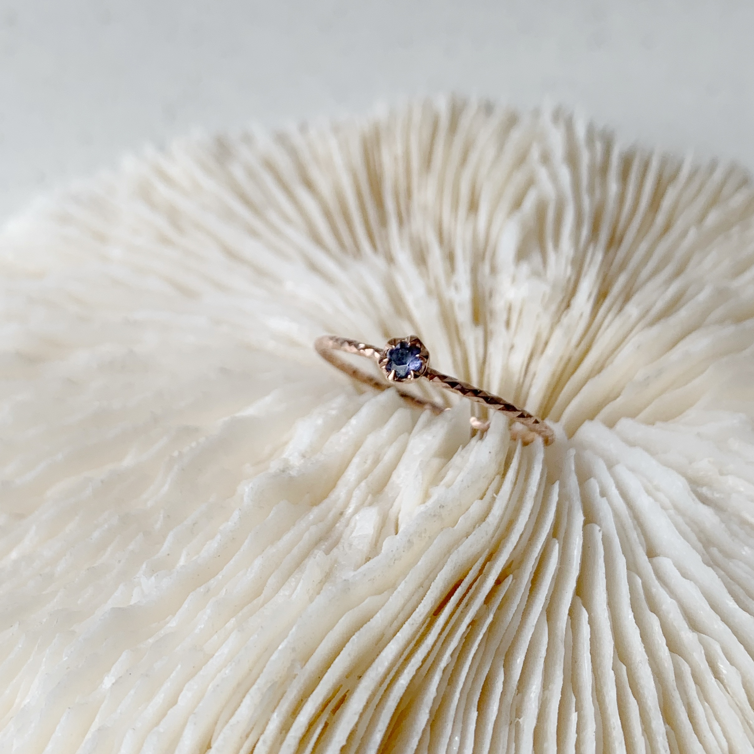 小花六爪堇青石滿天星戒指