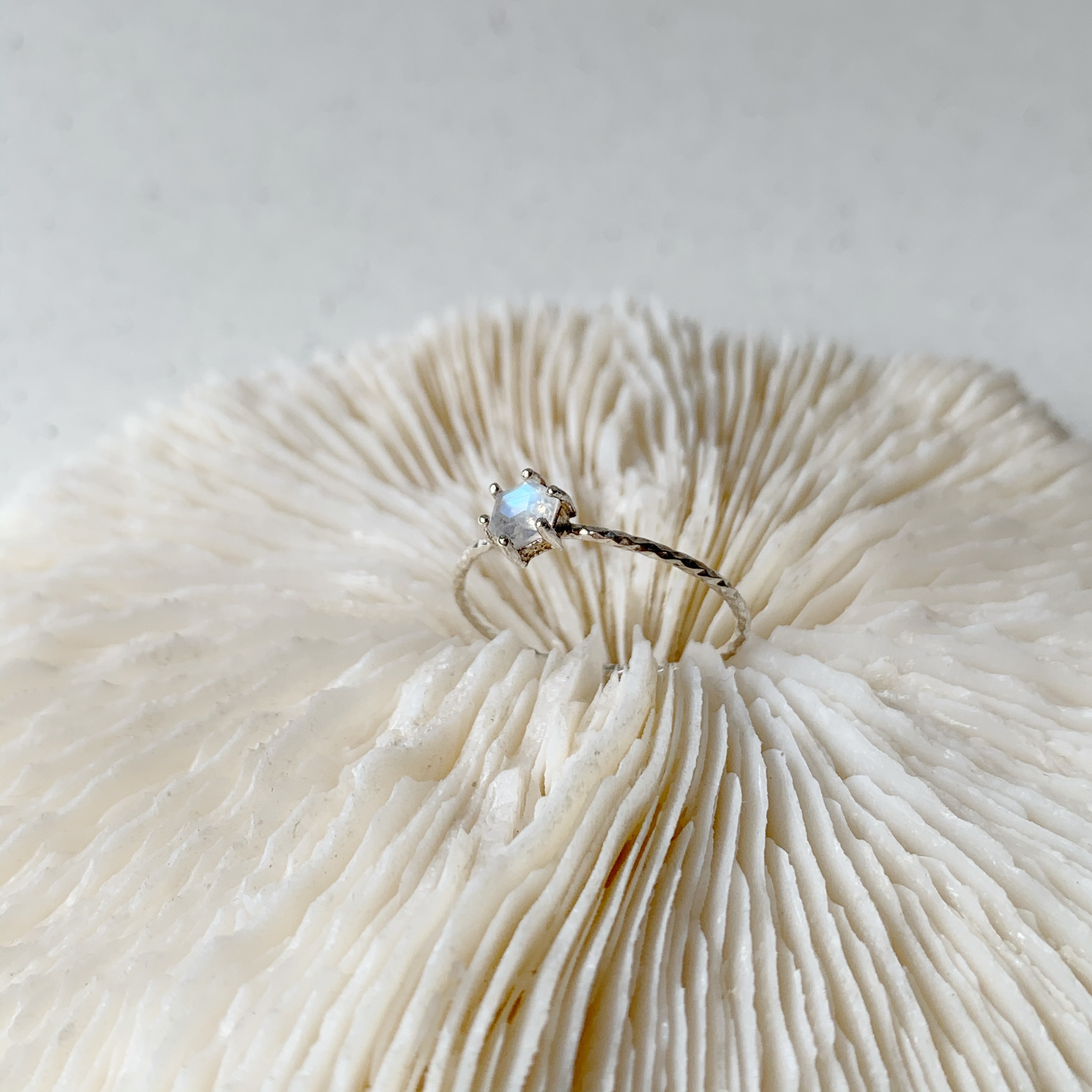 六爪月光石滿天星戒指