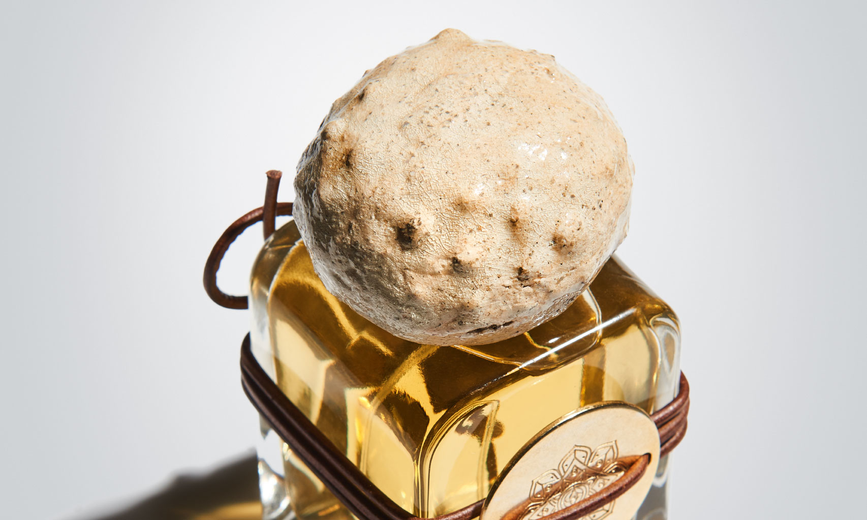 mendittorosa sogno reale, mendittorosa