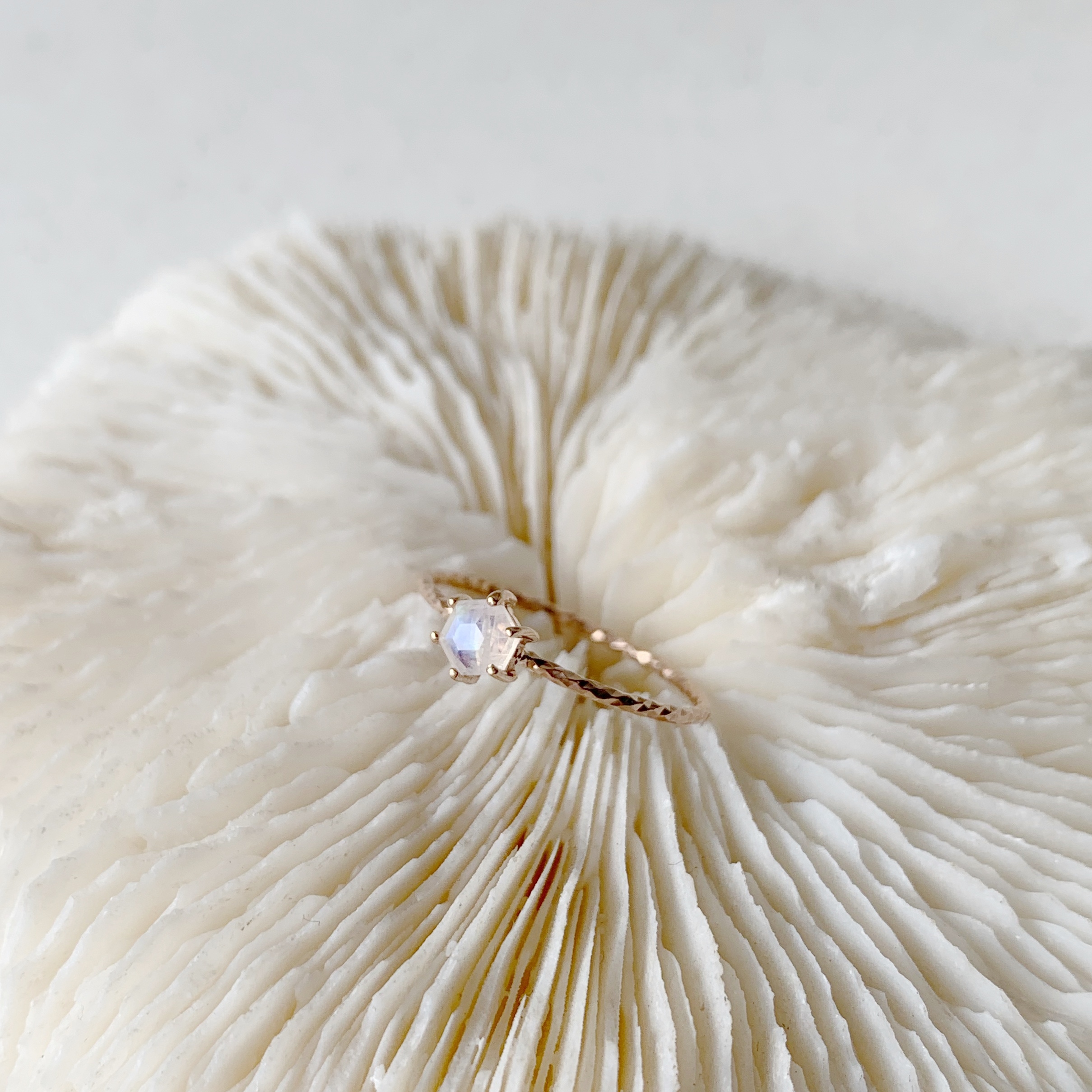 六爪月光石滿天星戒指