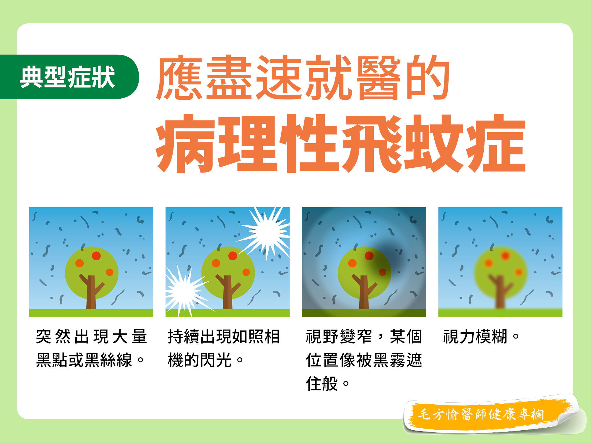 飛蚊症, 黑點, 黑絲線, 照相機閃光, 視野變窄, 視力模糊