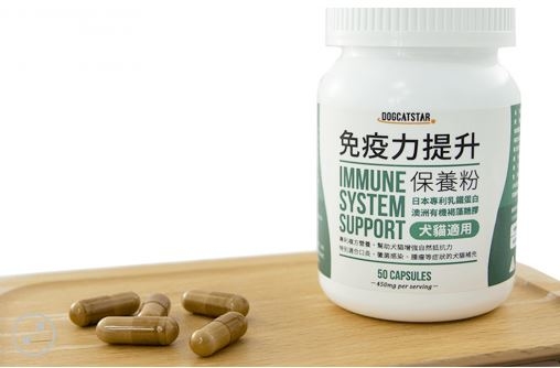 台灣汪喵星球 - 免疫力提升保養粉 (50粒)| 乳鐵蛋白, 褐藻糖膠, 黑酵母