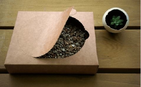 汪喵星球 - 貓草新鮮栽培盒-貓咪生菜