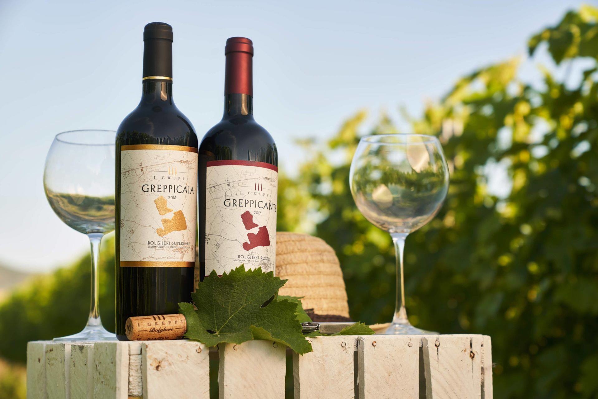 bolgheri,i greppi,greppicante,greppicaia,