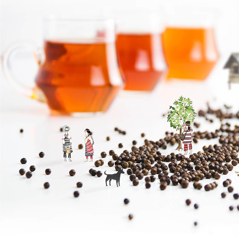 發現茶-30秒冷泡茶馬告覓蜜紅(20入/盒)