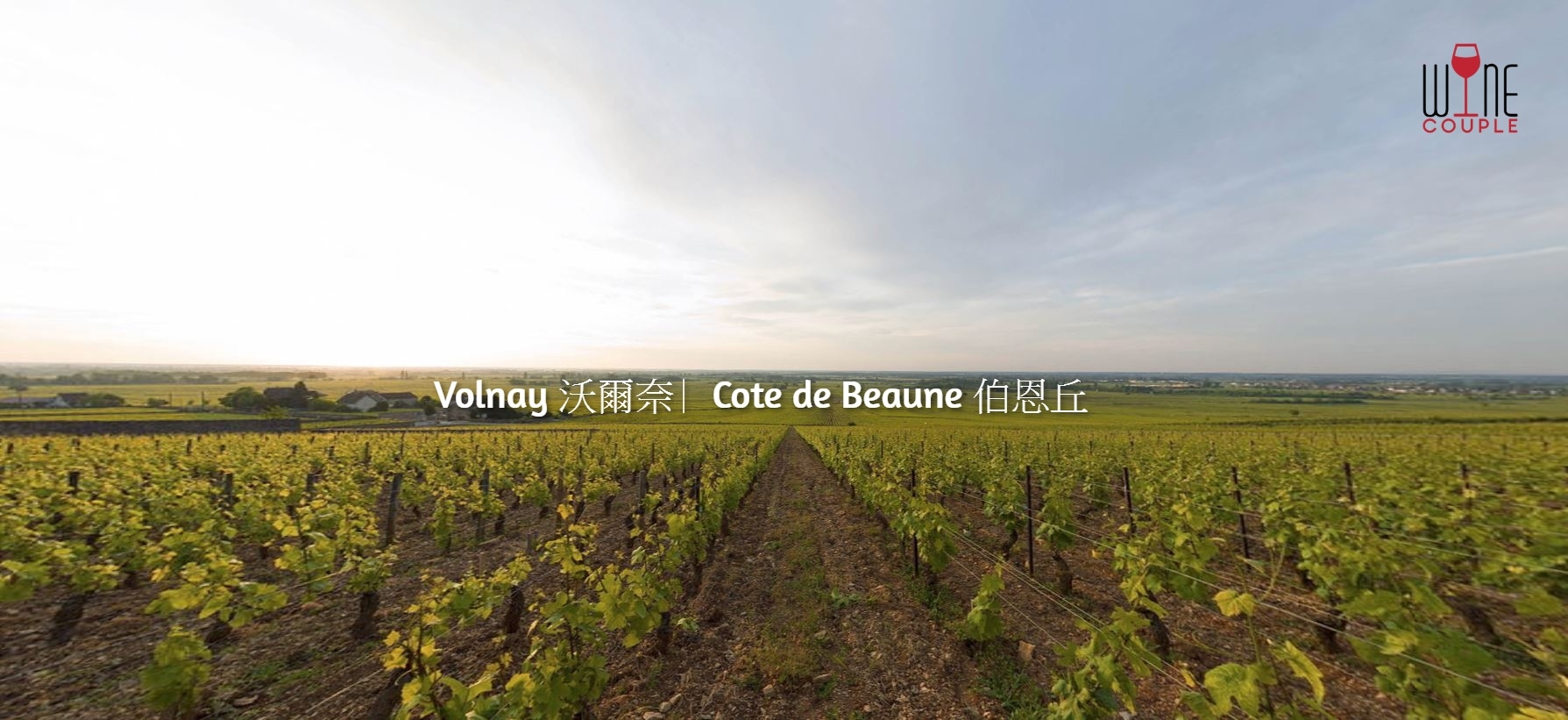 volnay
