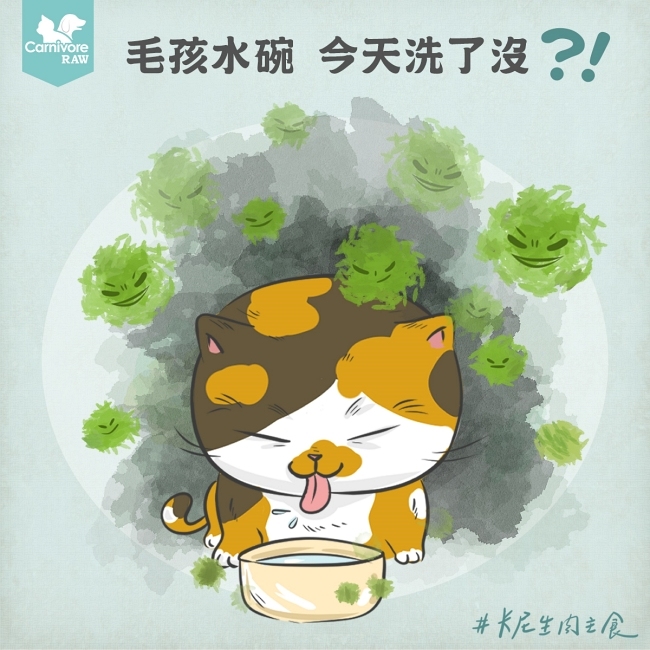 生物膜,水碗,貓碗,狗碗,寵物碗,塑膠碗,細菌,食安