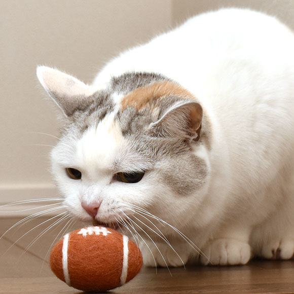 iCAT 橄欖球毛氈玩具