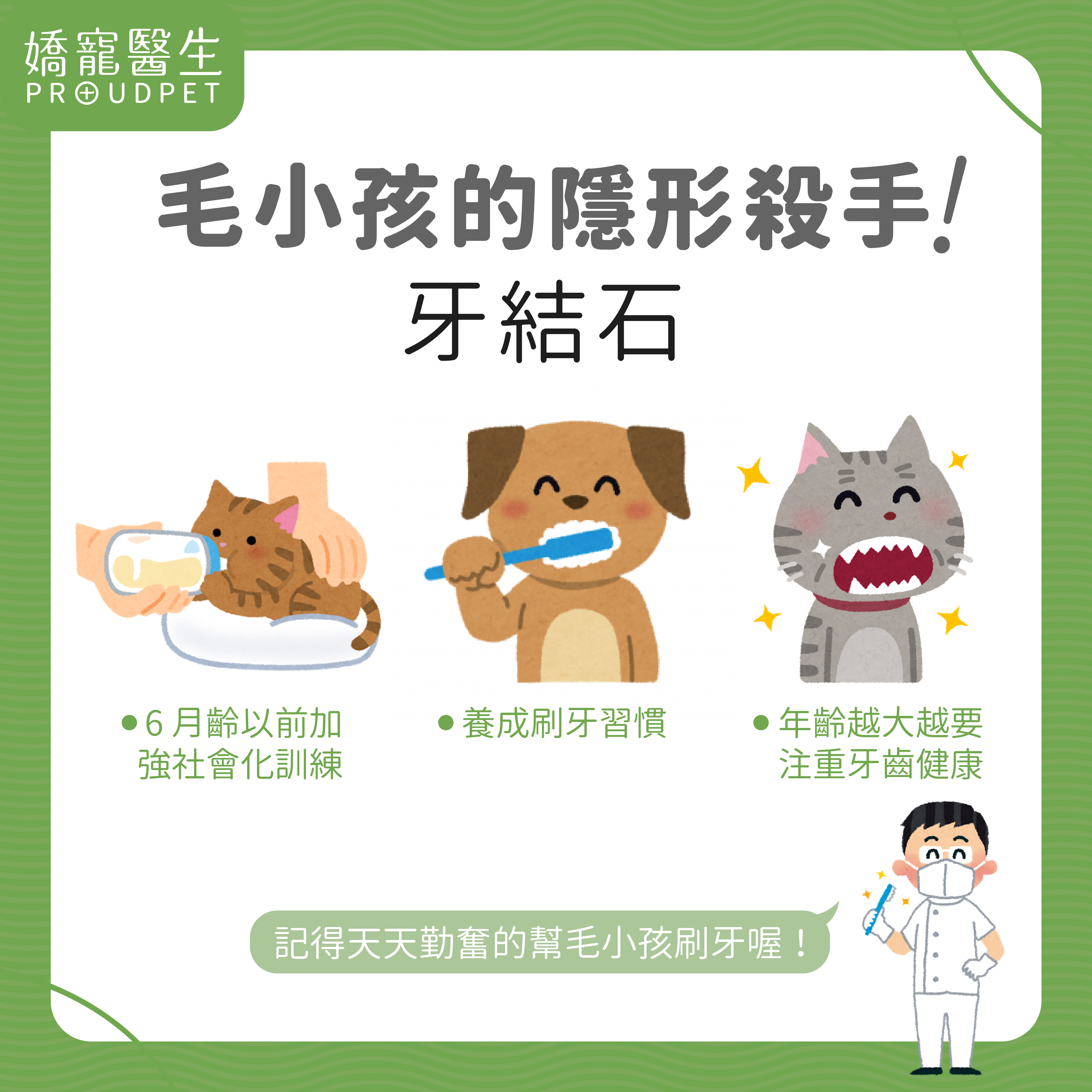 嬌寵醫生,寵物炎症,寵物氣味,寵物皮膚,皮膚病,洗毛精,潔耳液,潔牙,寵物洗護用品,陳正倫獸醫師,陳正倫,嬌寵,寵物牙結石,寵物牙齒,牙齒保健,寵物牙齦,寵物口臭