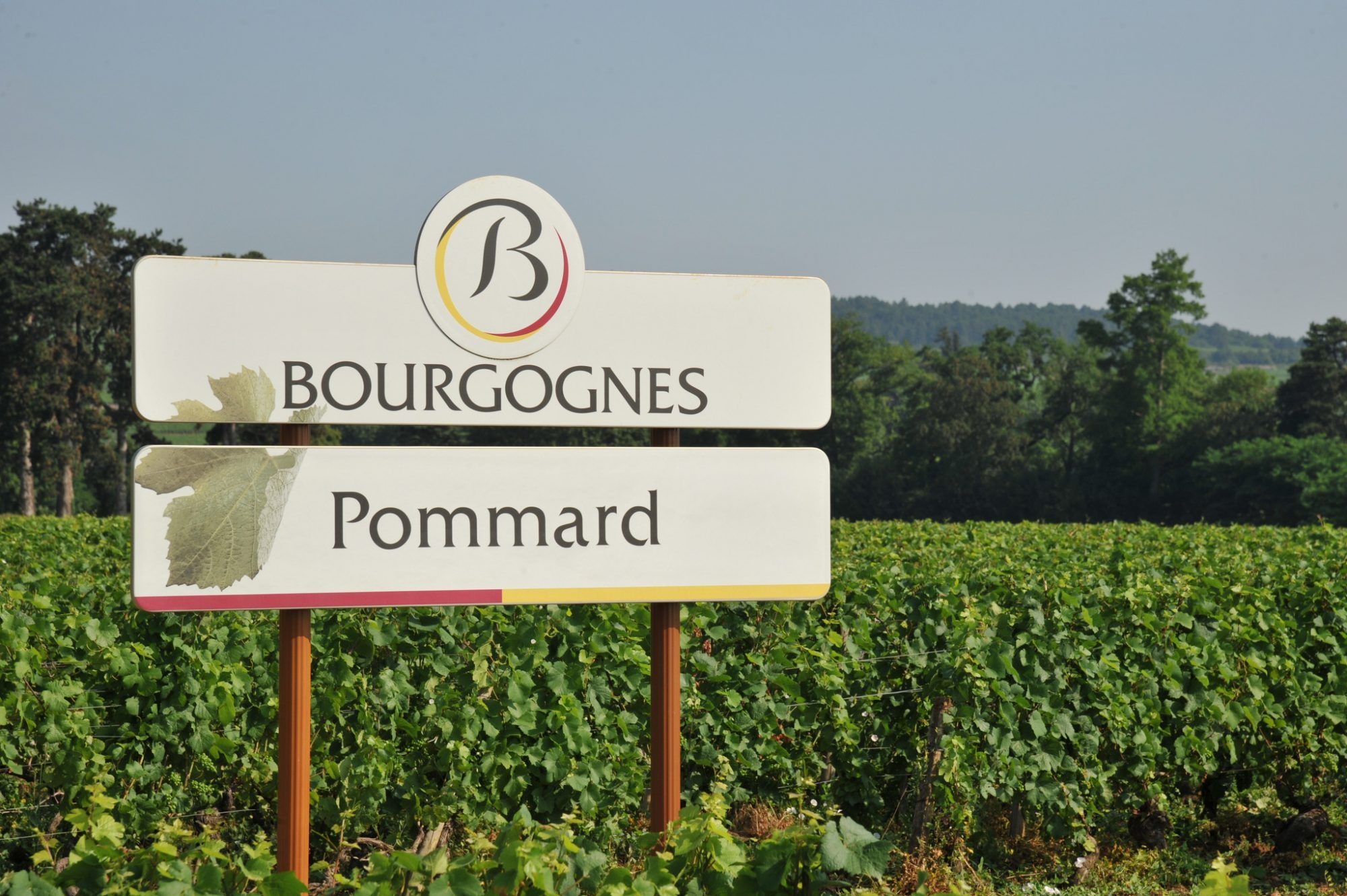 Pommard Premiers Crus