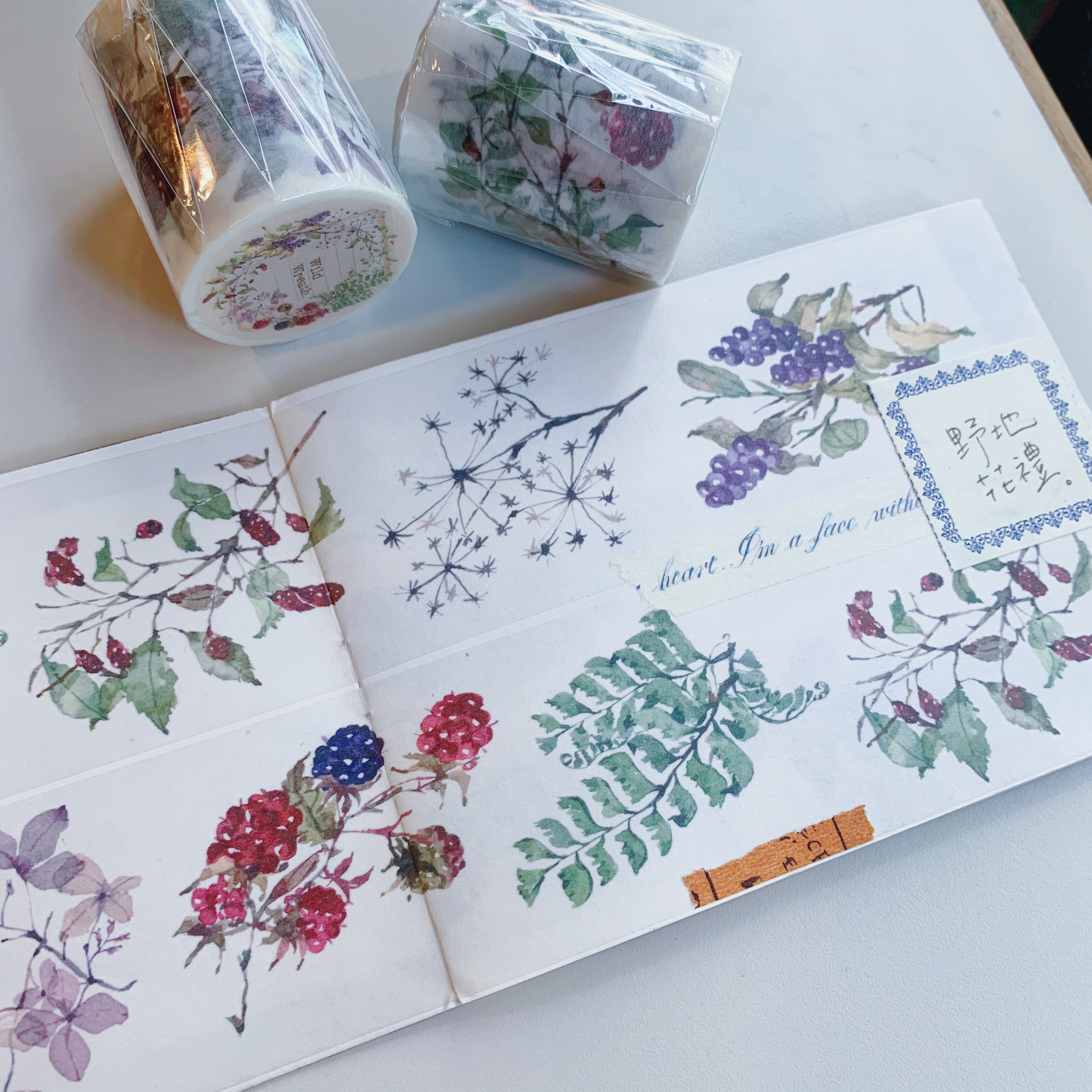 OURS 野地花禮 紙膠帶