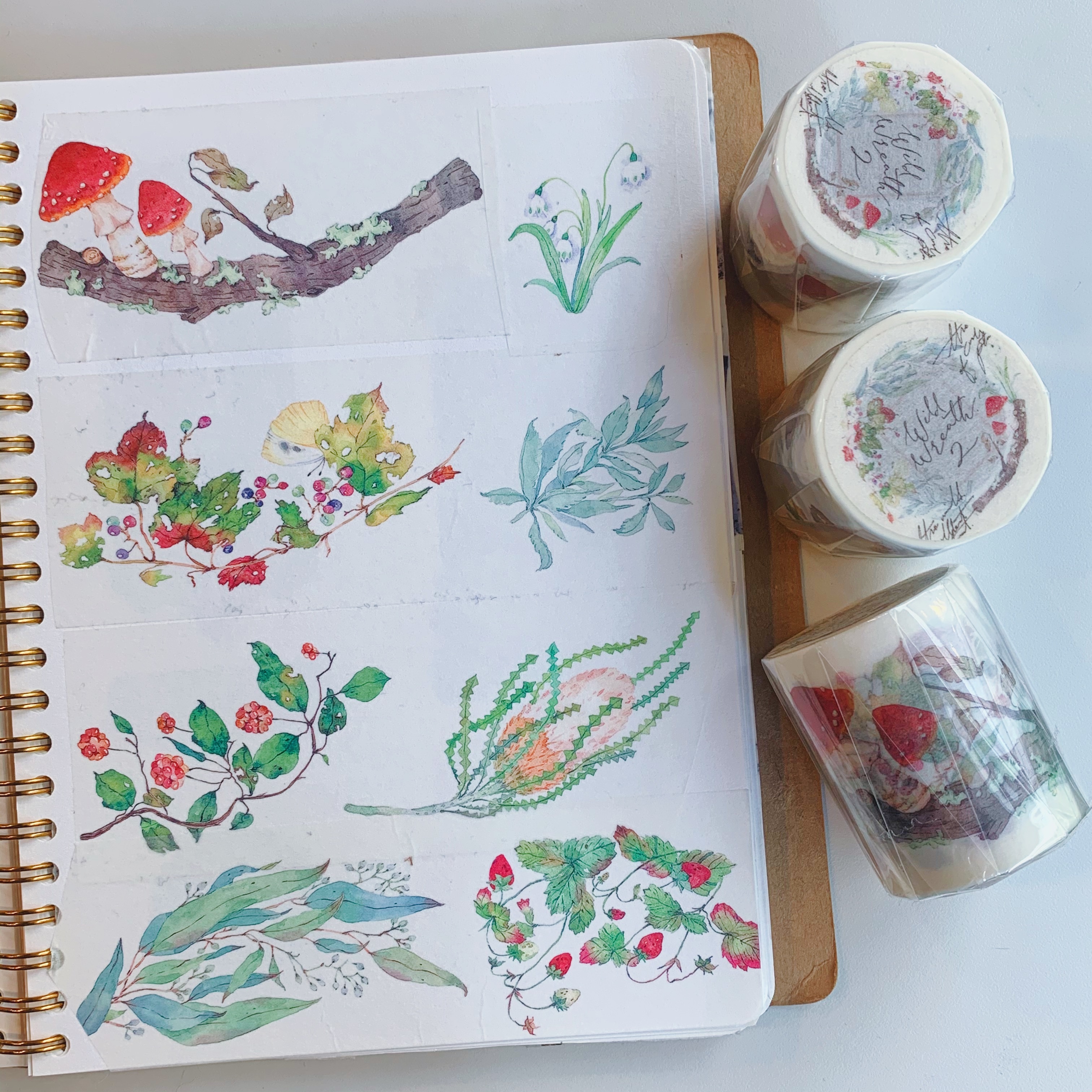 OURS 野地花禮2 紙膠帶