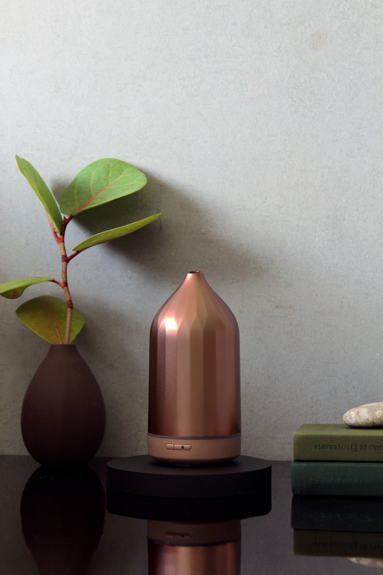 TOAST｜RIDGE 超音波香氛水氧機