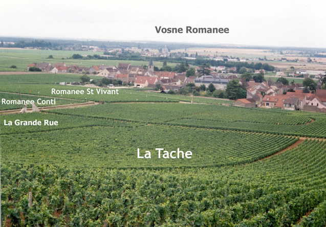 Vosne-Romanee