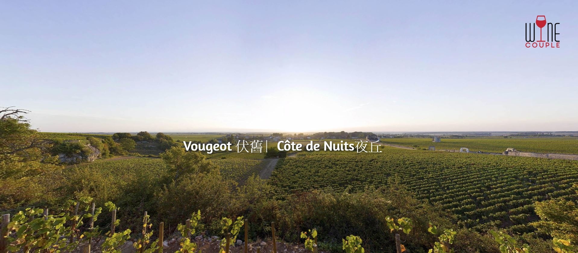 vougeot