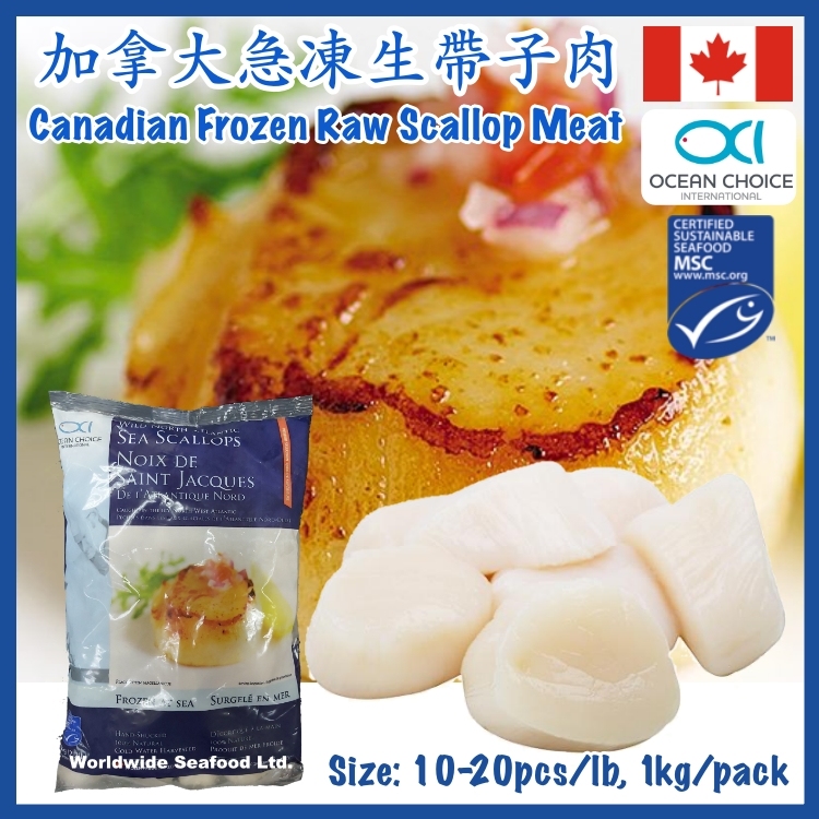 Frozen Canadian Raw Scallop Meat 10/20 pcs/lb I.Q.F. 1