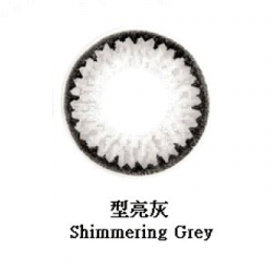 FreshKon Fusion 1 day (Shimmering Gray 型亮灰)