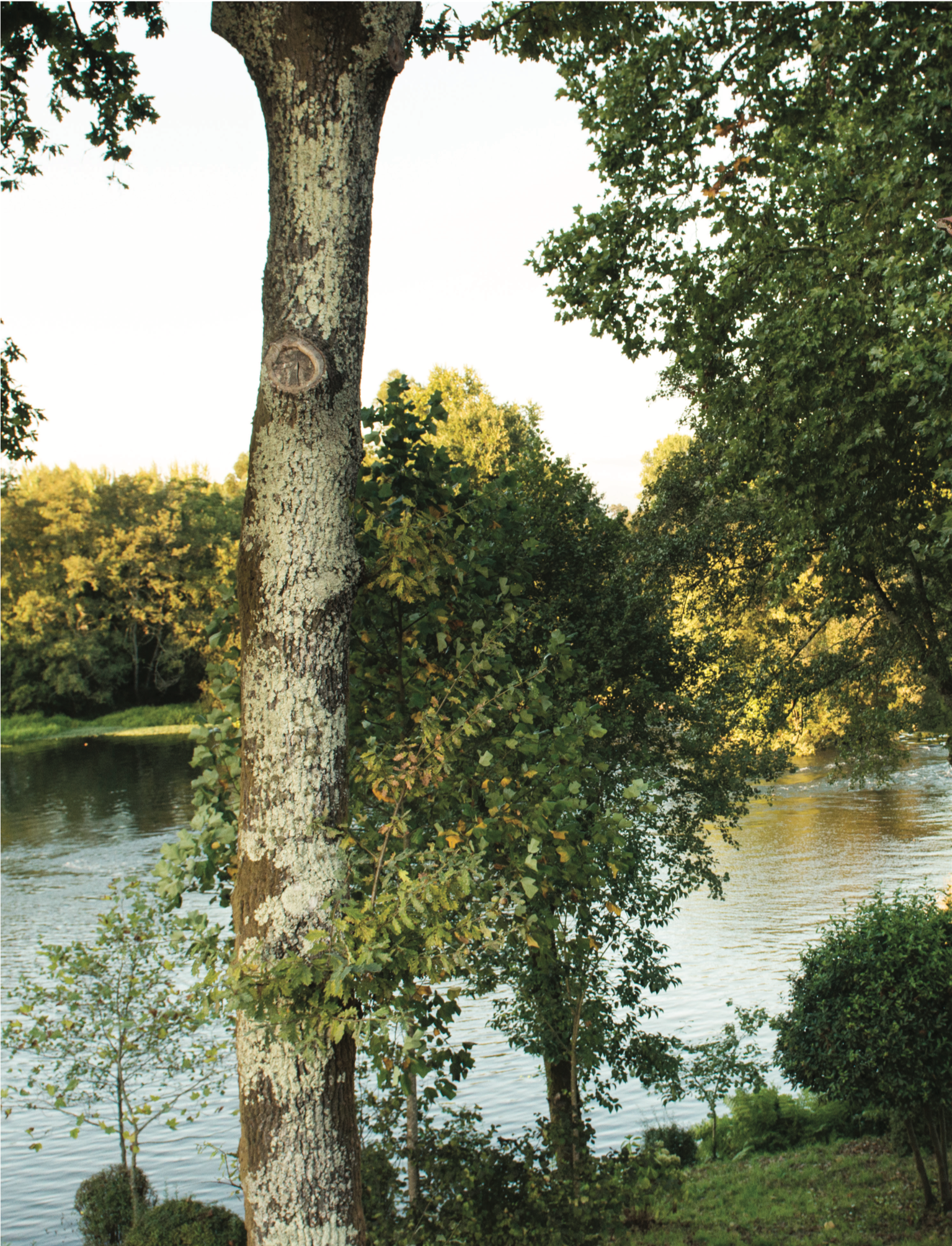 Cávado and Homem rivers