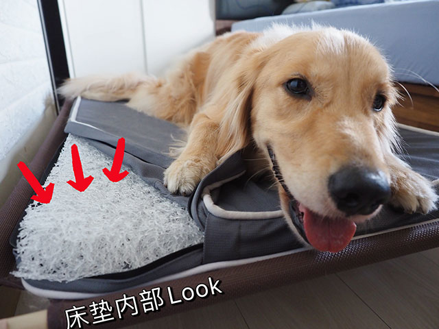 樂樂の成長日記