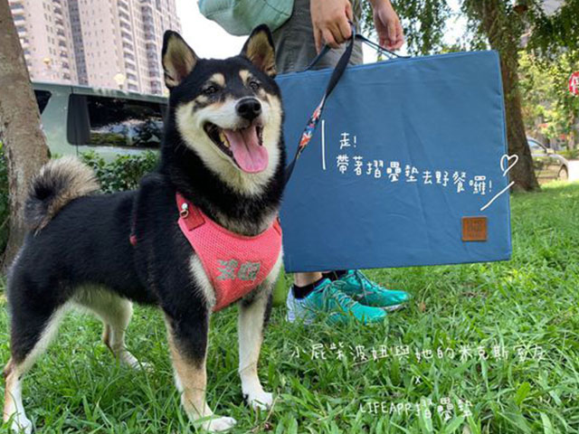 【外出用品】走到哪坐到哪躺到哪野餐去 ft.LIFEAPP寵物緩壓睡墊