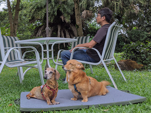 徐家二妞－LIFEAPP摺疊墊