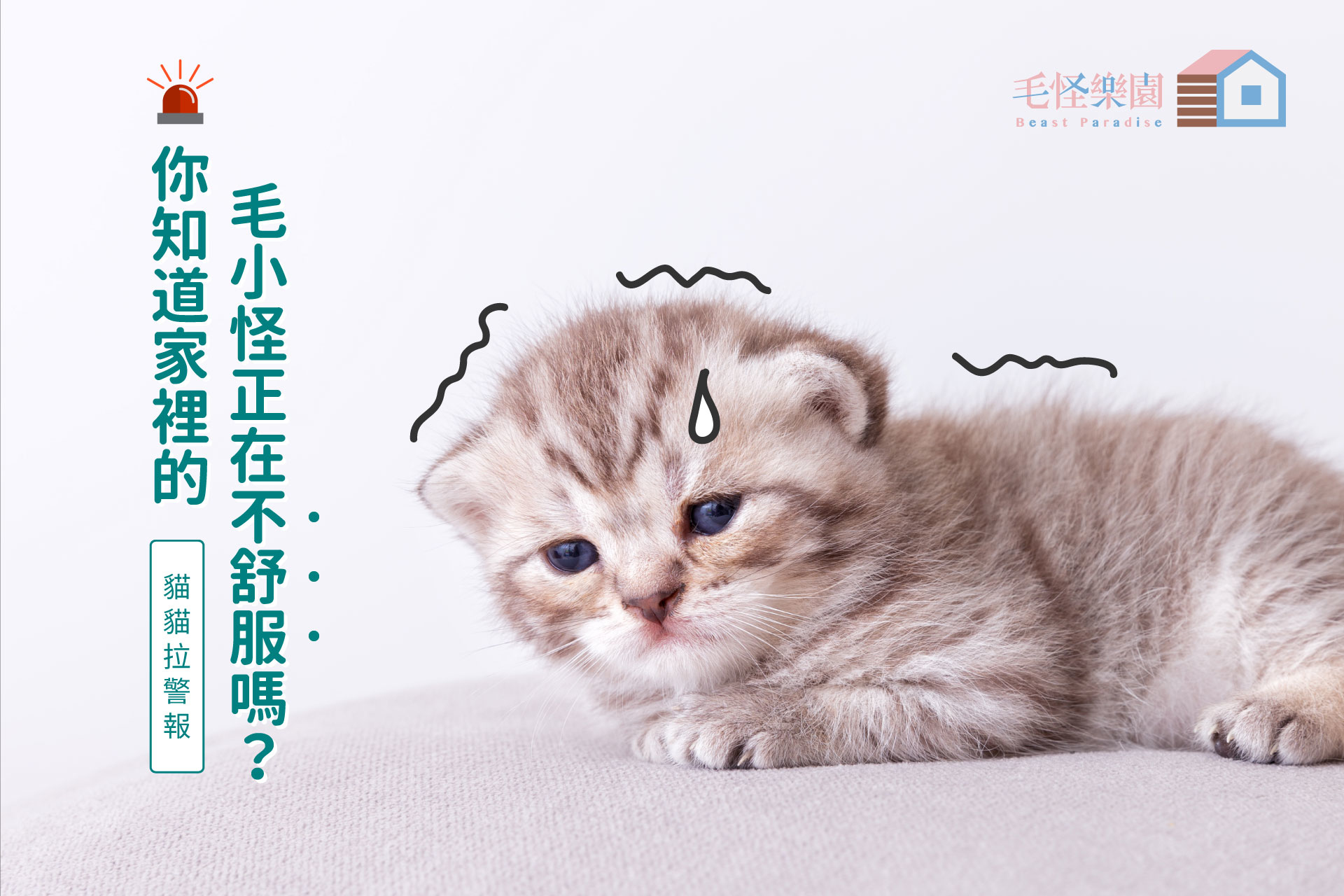 貓咪不舒服