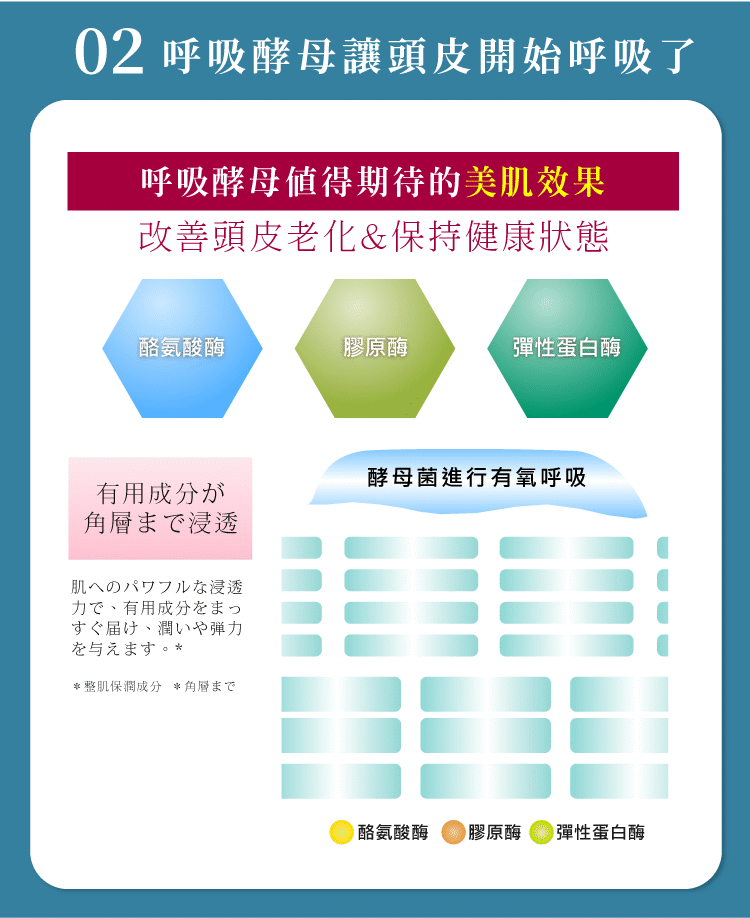 村上呼吸酵母詳情頁07