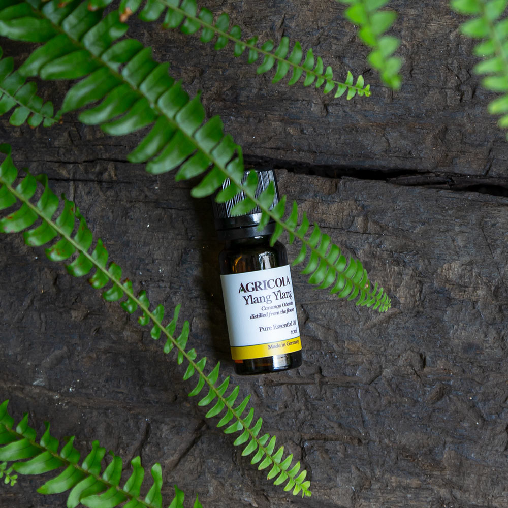 完全依蘭精油 – 10ml