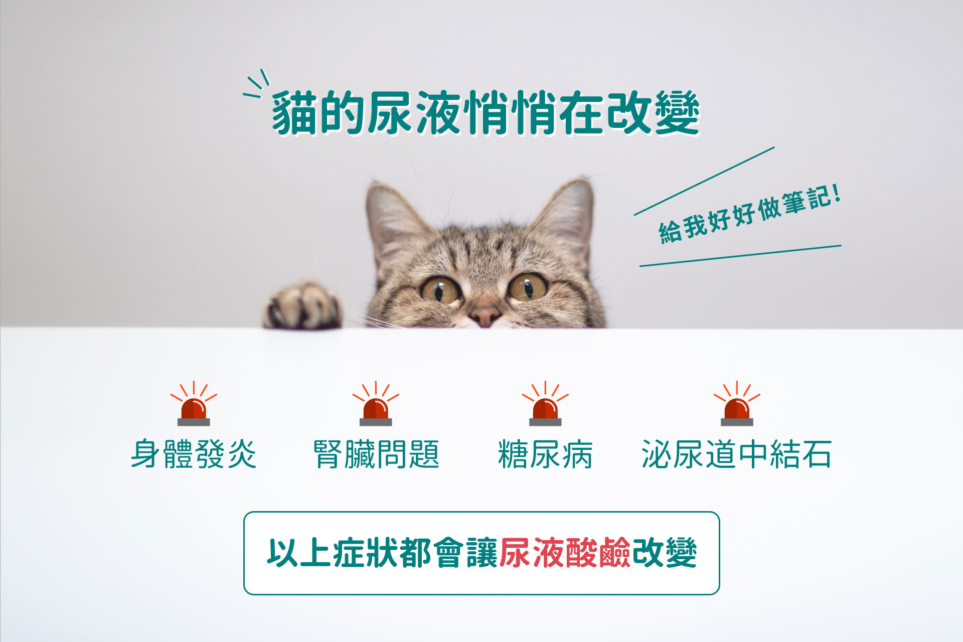 貓咪的尿液悄悄在改變