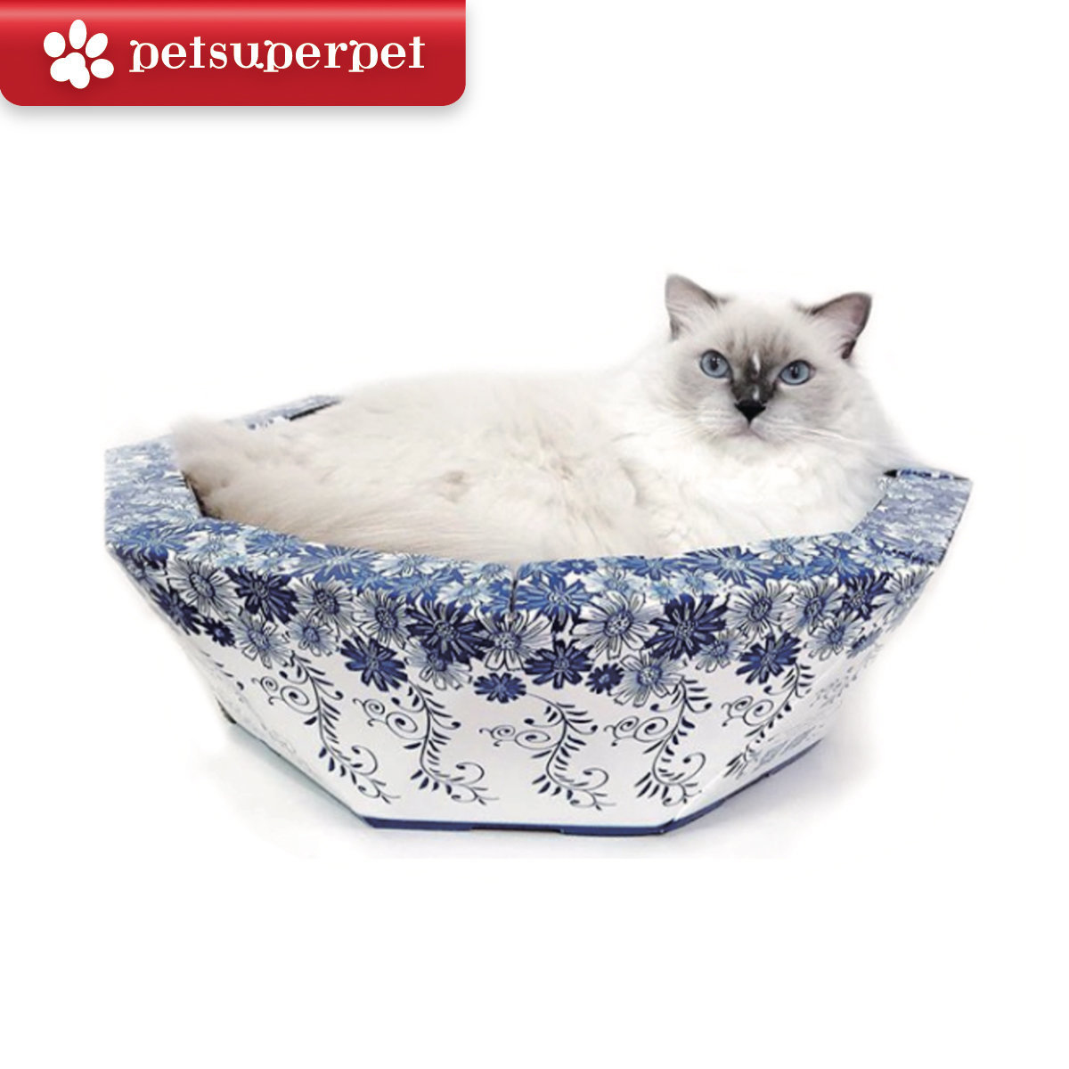 呼嚕貓 貓咪青花盆