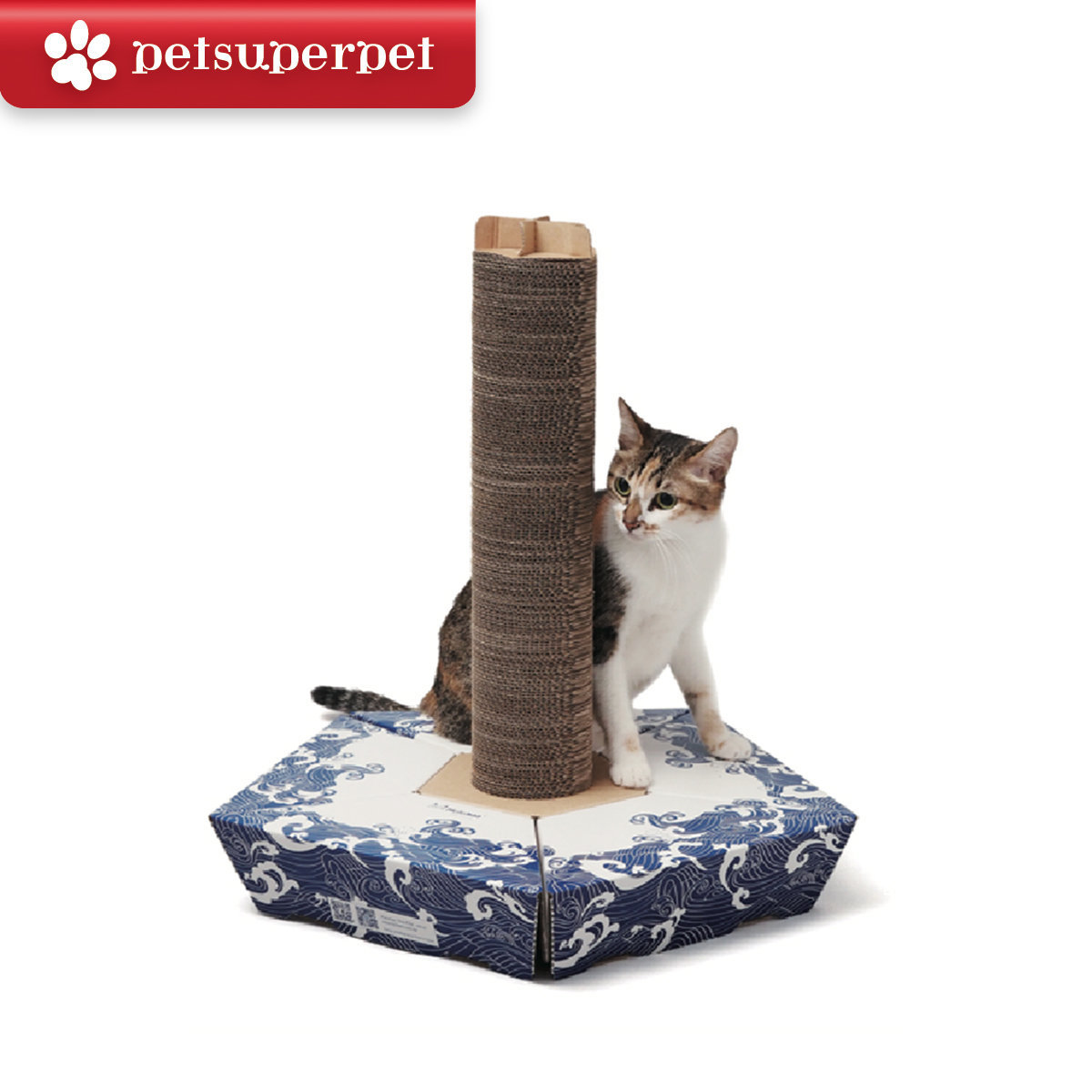 呼嚕貓 原力貓抓柱