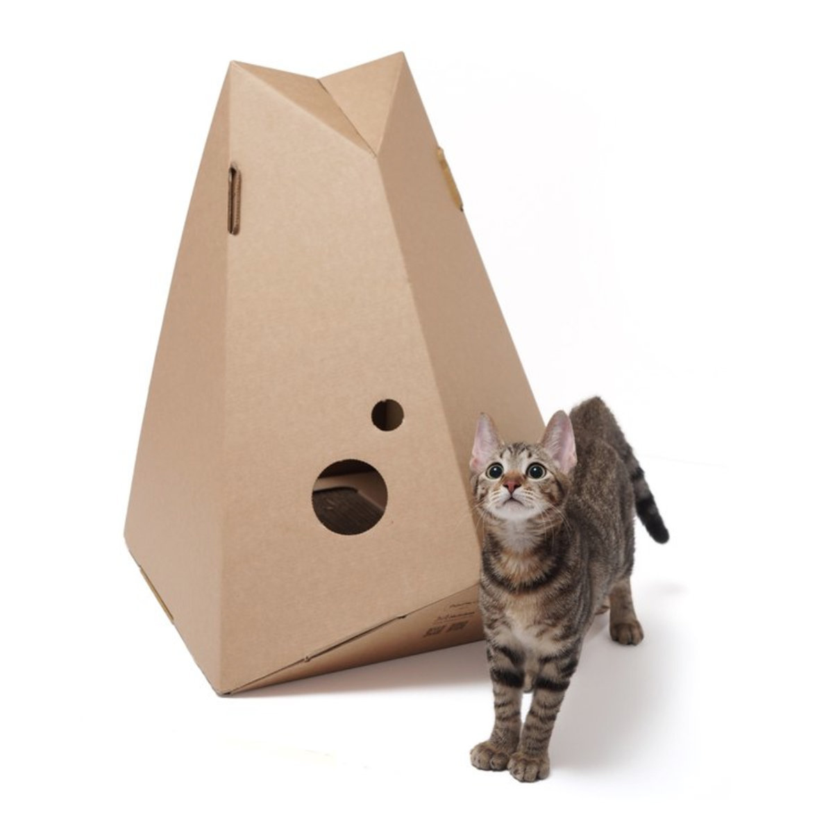 呼嚕貓 幻影貓屋