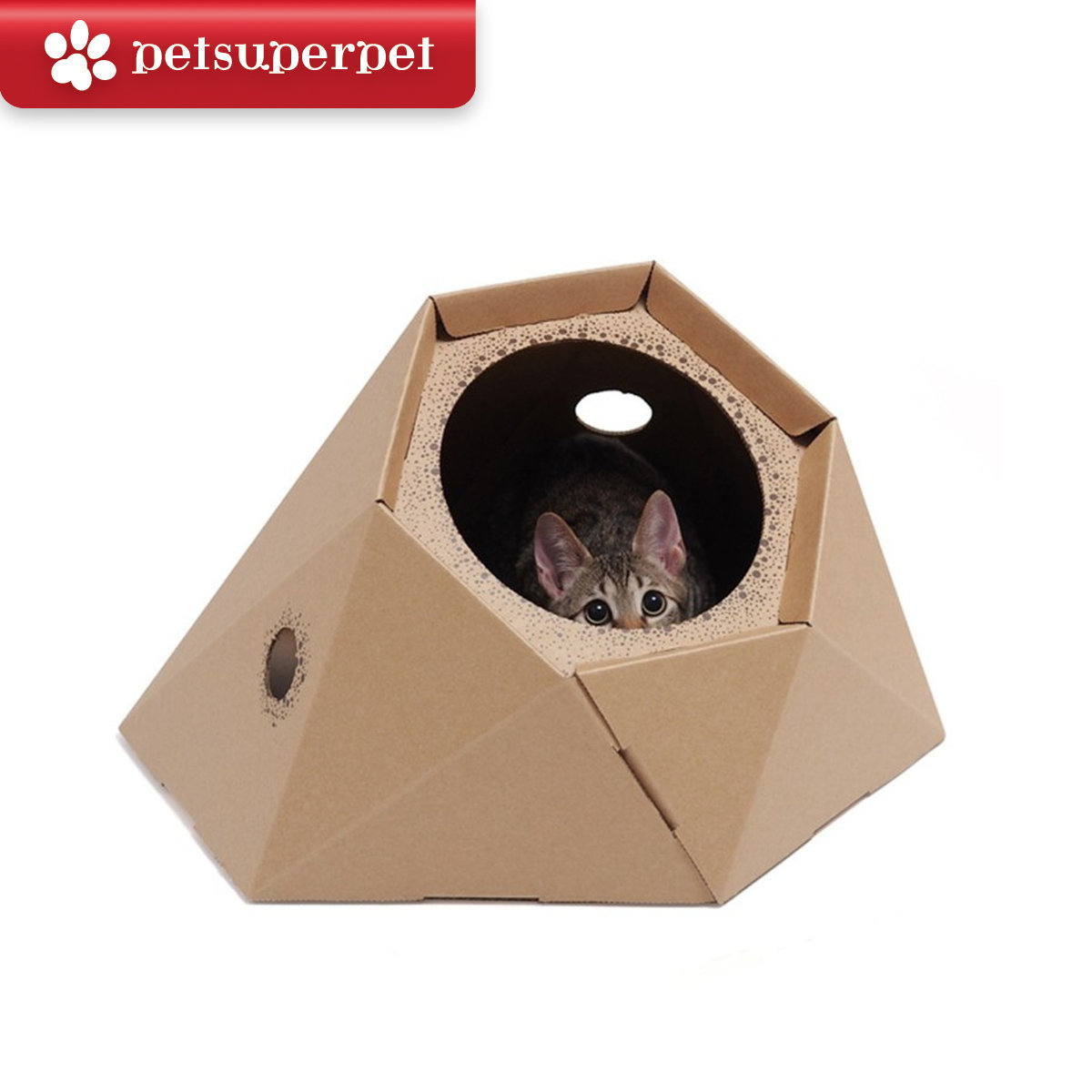 呼嚕貓 貓咪藤壺屋