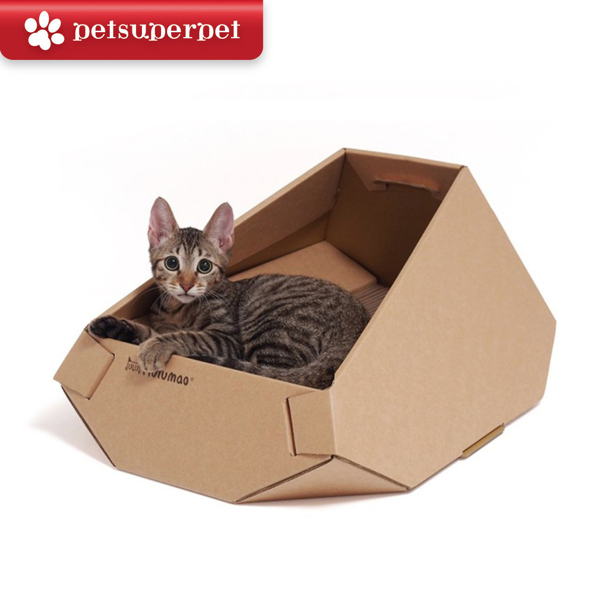 呼嚕貓 貓躺椅 (休閒椅)