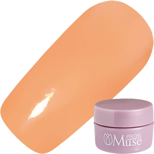 Muse Gel - S067 (3g)