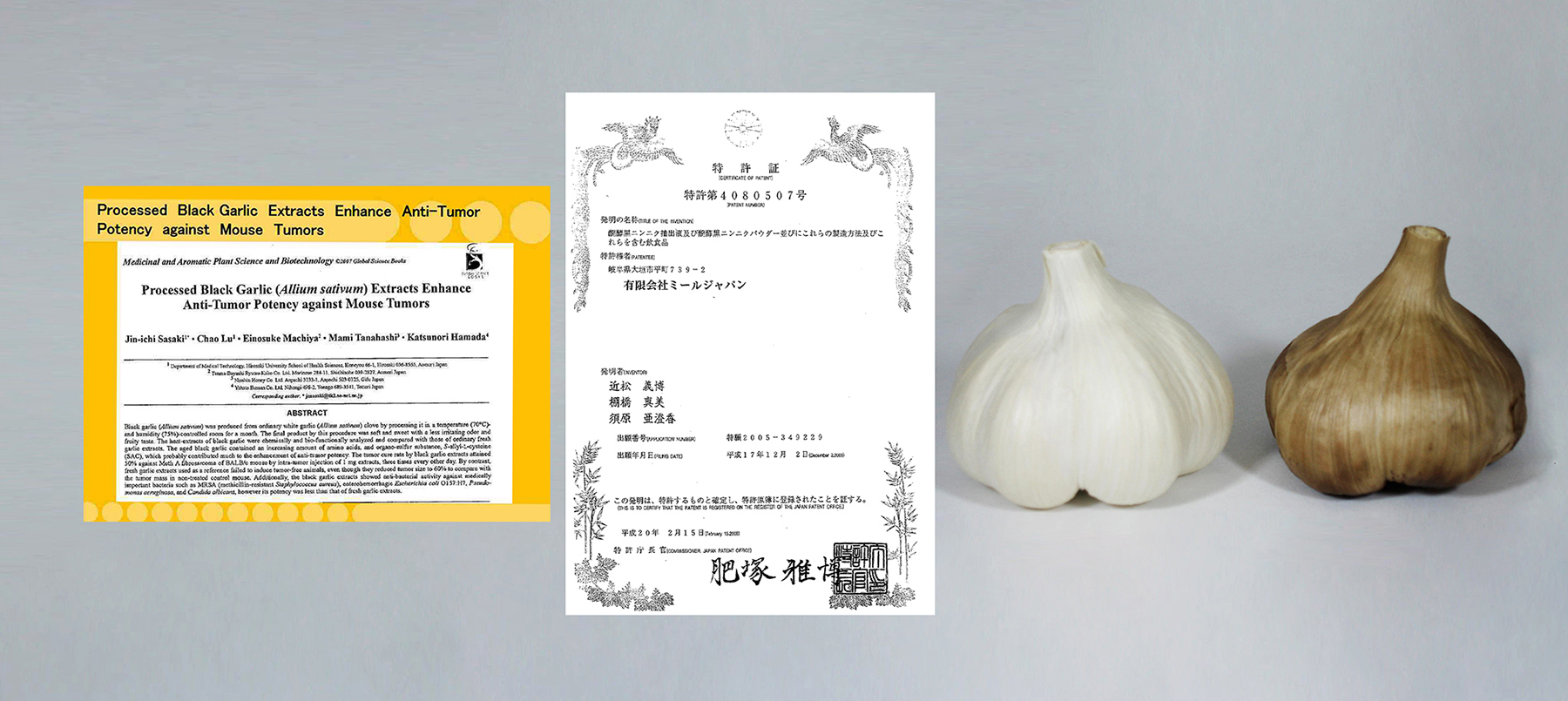 品質監控，保留優質活性成份, 坊間黑蒜，品質極為參差。 發霉或變壞之蒜頭，沒有去皮，肉眼未必能分辨；如把已變壞之蒜頭，用電飯煲或其他方法，使其變黑，此時蒜頭已成黑色，肉眼則更難以區分了。 蒜頭級數，品種挑選，品質檢測等，應多加注意。