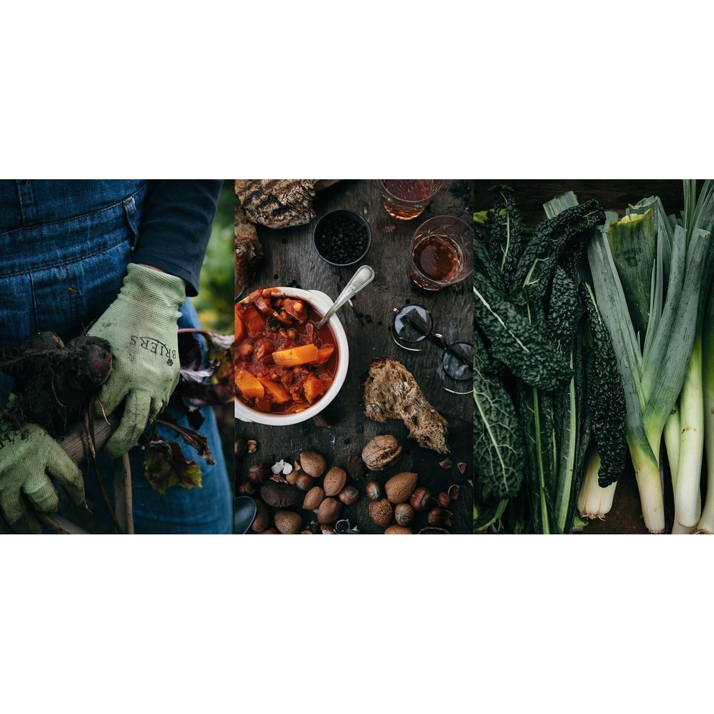 [FREE Video Course] Lifestyle Photography: Visual Storytelling