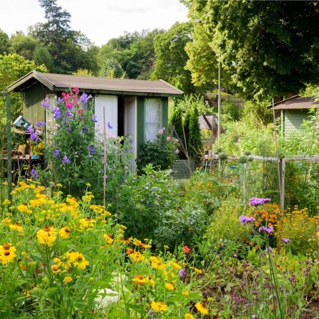 national institute of medical herbalists,NIMH