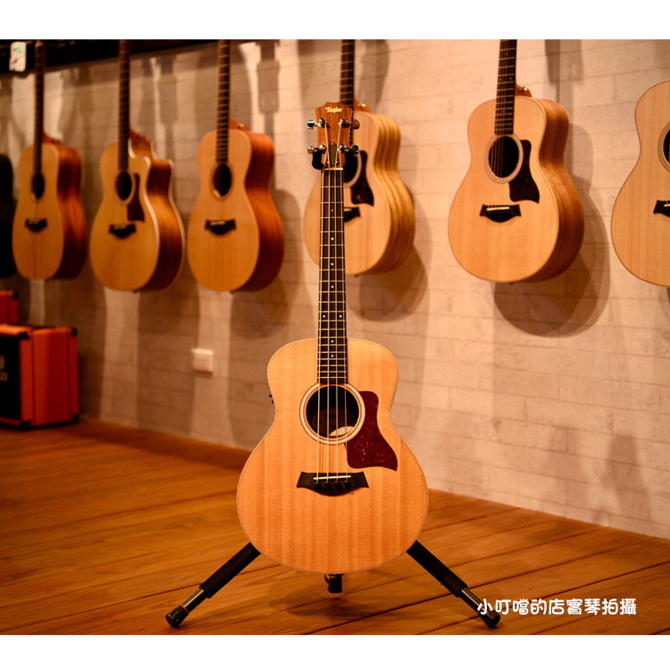 Taylor GS mini-e Bass 電木吉他