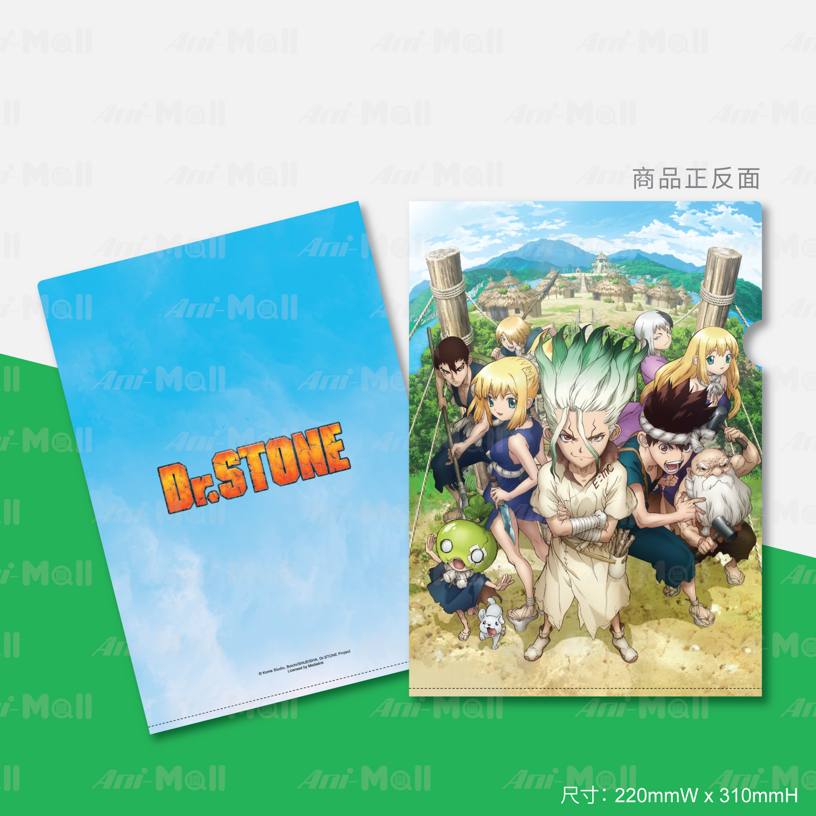 【Dr. STONE】A4 文件夾 (S1 B)