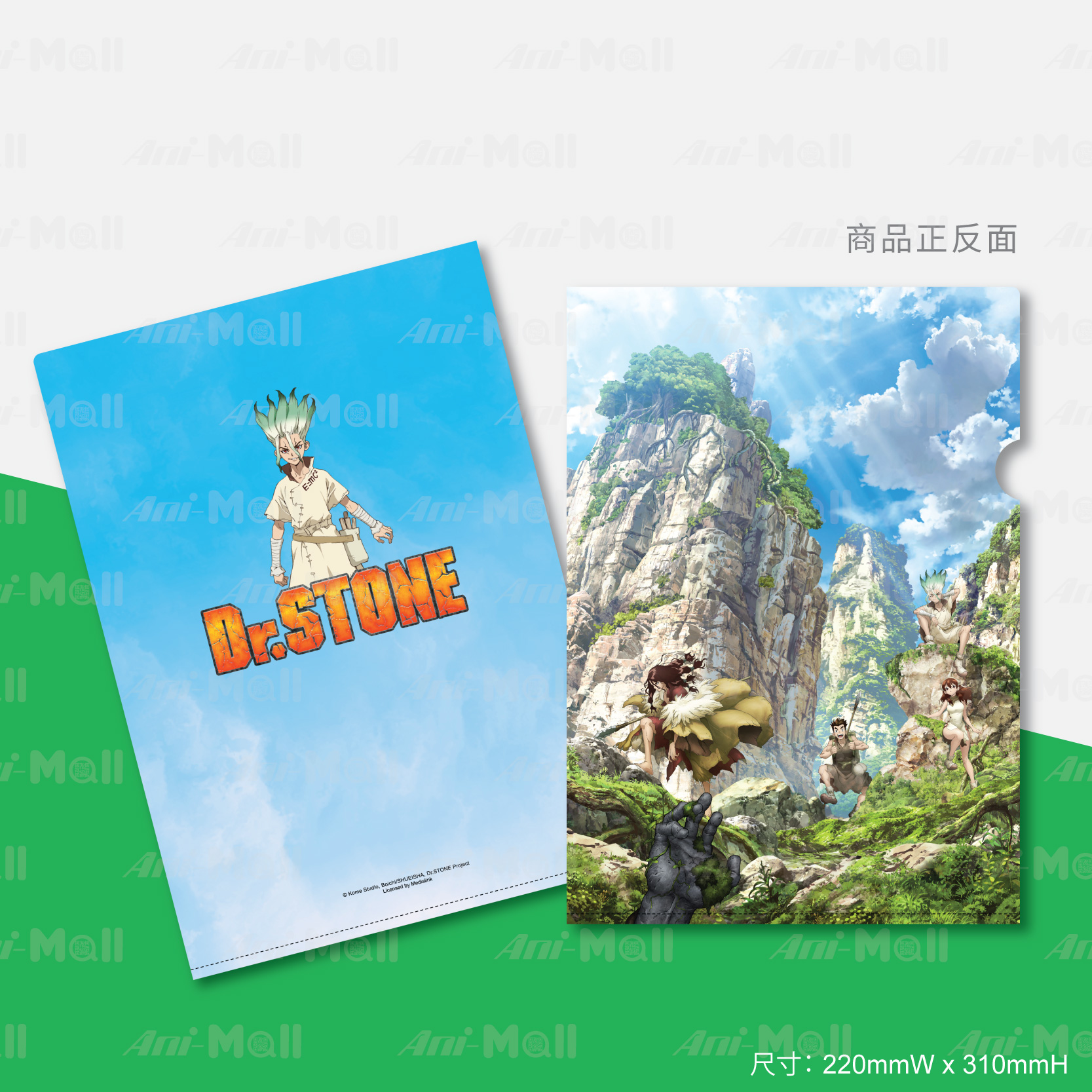 【Dr. STONE】A4 文件夾 (S1 A)