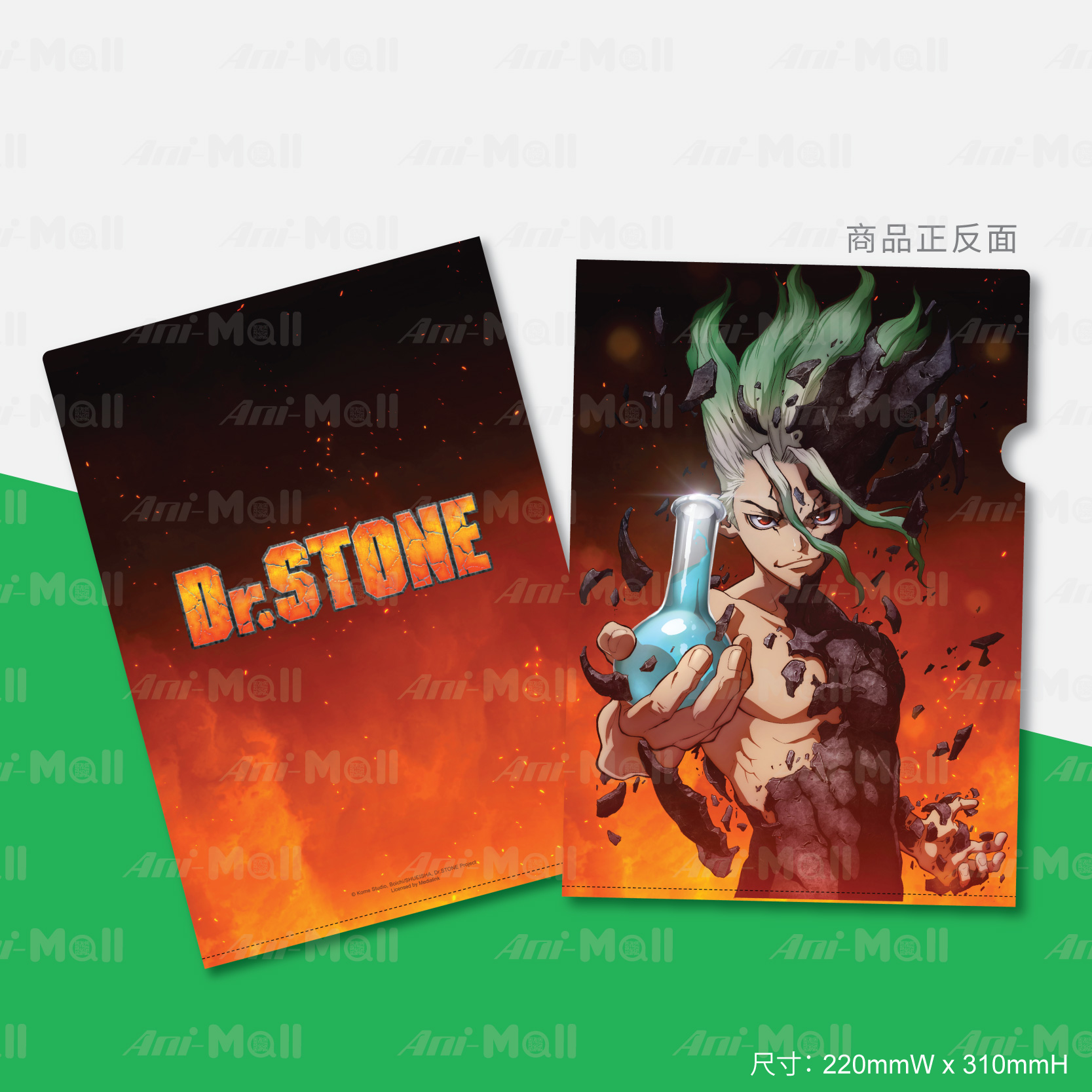 【Dr. STONE】A4 文件夾 (石神千空 S1)