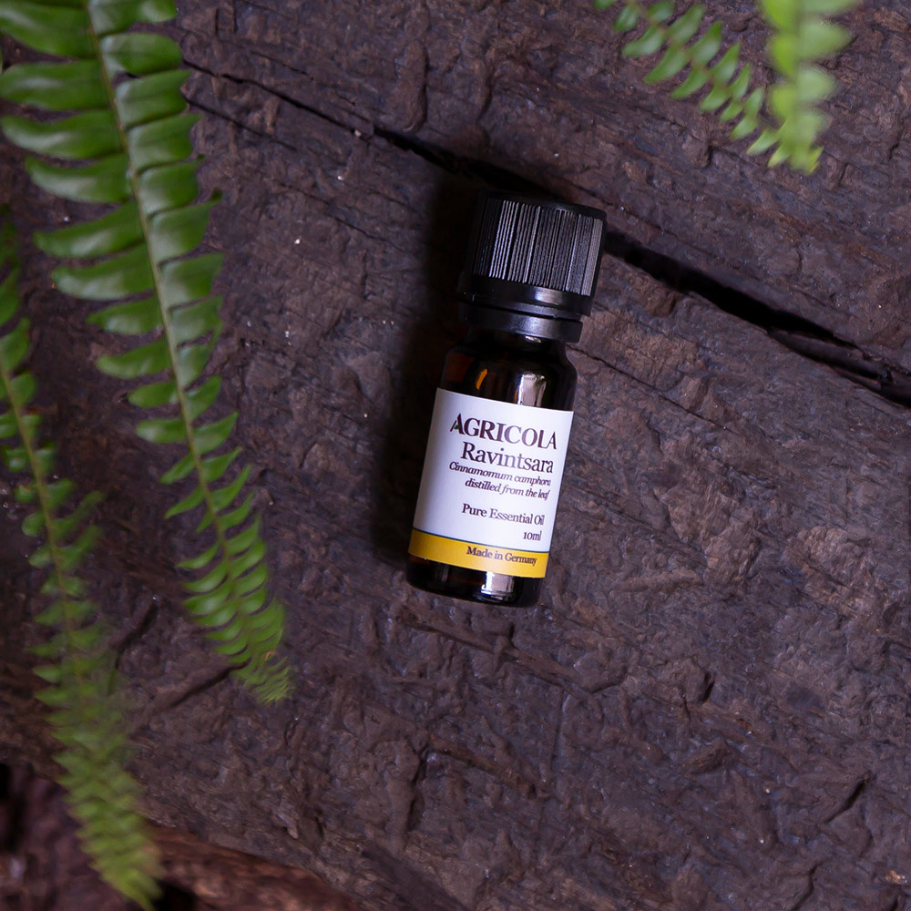 羅文莎葉(桉油樟)精油-10ml