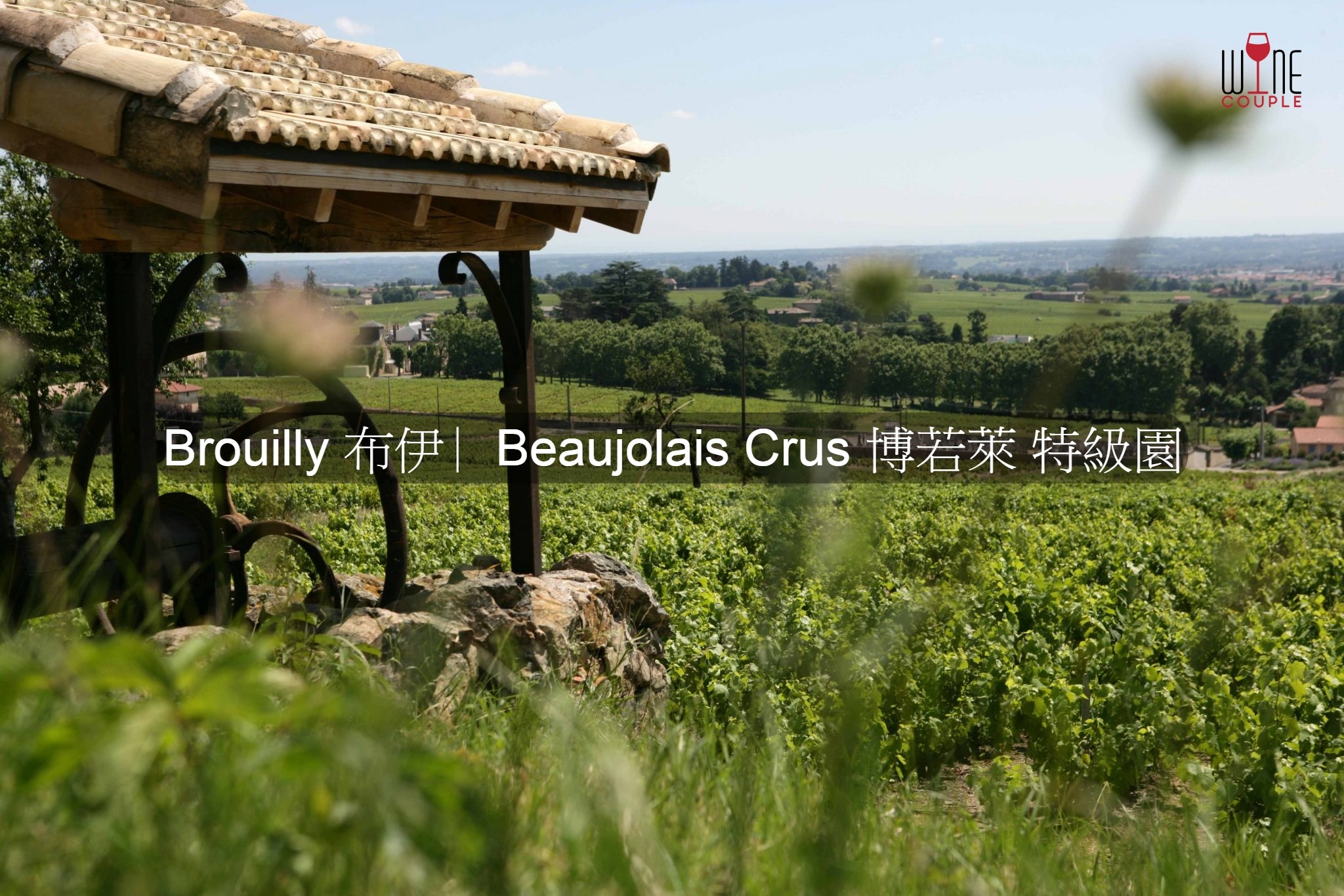 brouilly