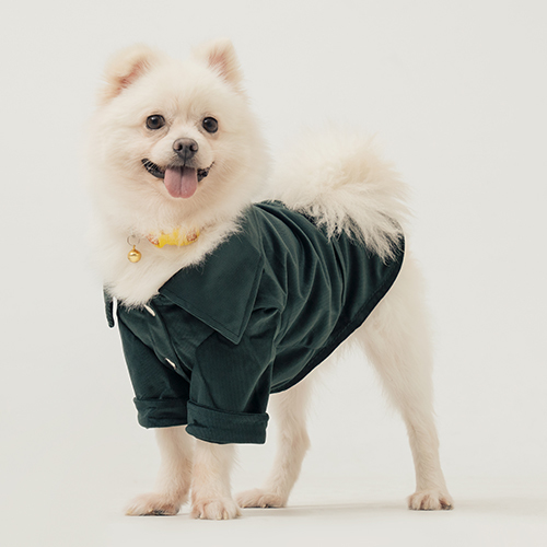 PEHOM x Somthing Studio - 成功送養 - 胖丸