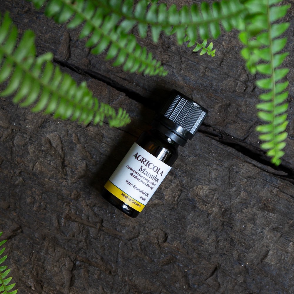 松紅梅精油–10ml