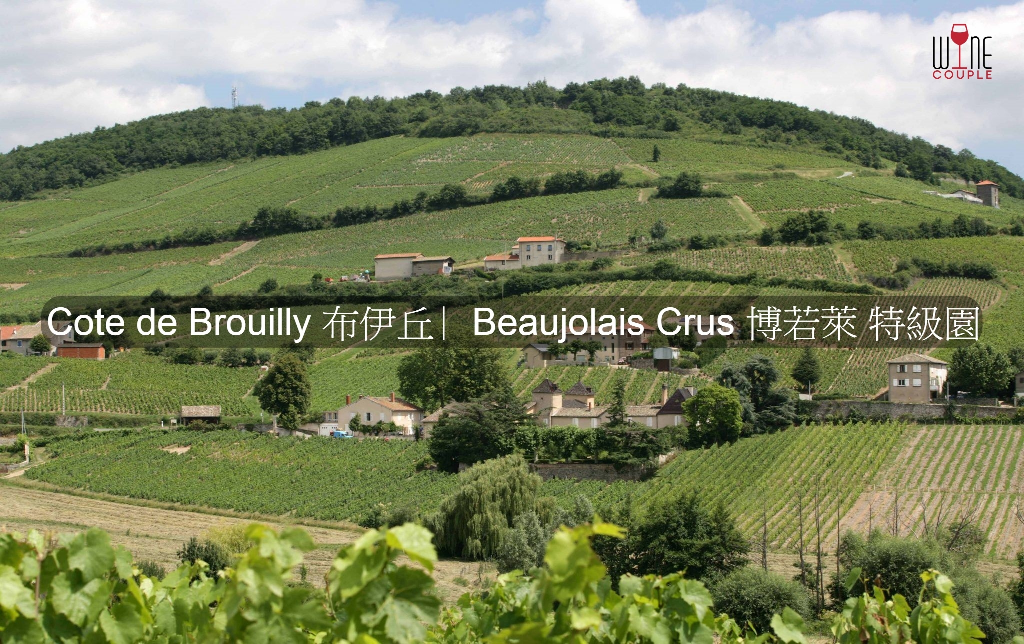 Cote de Brouilly